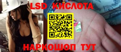 спиды Камышлов