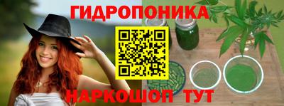 спиды Камышлов