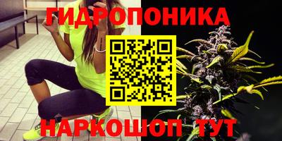 спиды Камышлов