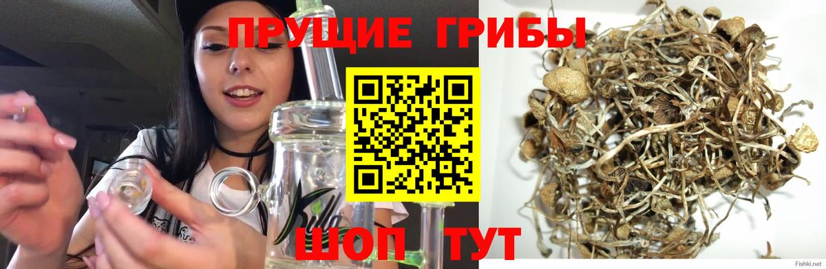 Псилоцибиновые грибы Magic Shrooms  Галлюциногенные грибы Psilocybe  Вход с VPN  Красноуфимск 